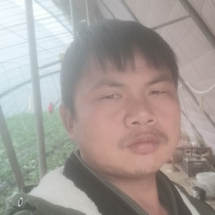 孤狼‘的第一张照片--赣州残疾人相亲网